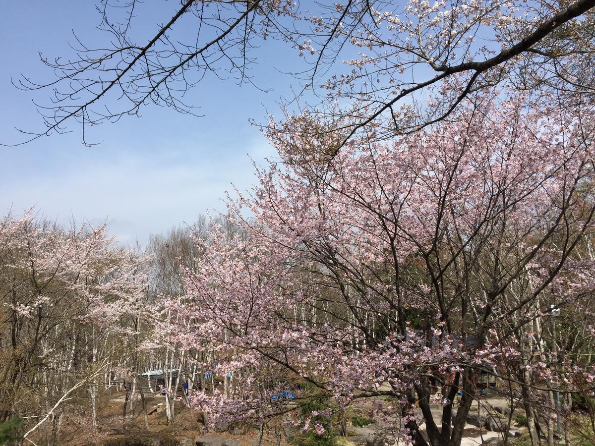 Hotel Tagawa Yamanouchi  Esterno foto